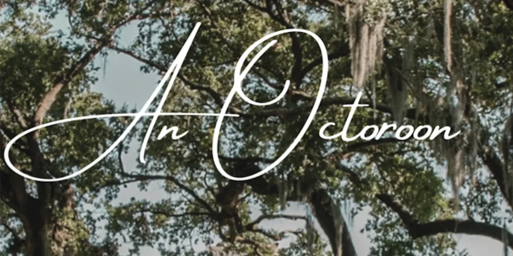 an octoroon cover art